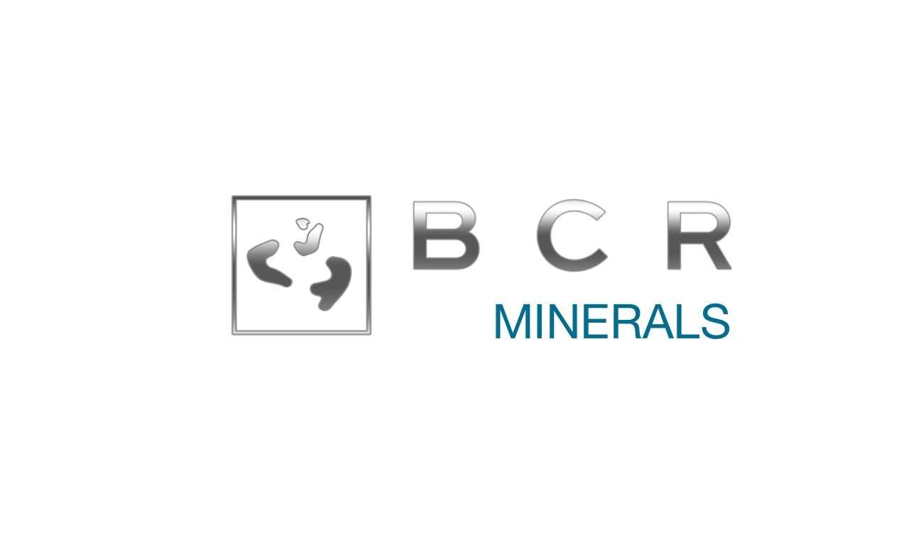 You are currently viewing BCR Minerals: Bursaries 2025