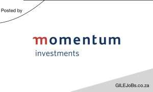 Read more about the article Momentum Investments: YES Programme 2025 / 2026