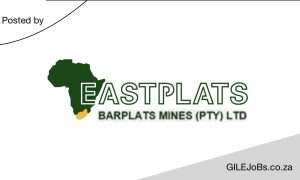 Read more about the article Barplats Mine: Graduate Internships 2025 / 2026