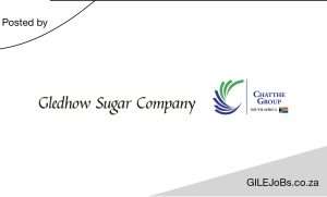 Read more about the article Gledhow Sugar Company: Graduate Internships 2025 / 2026